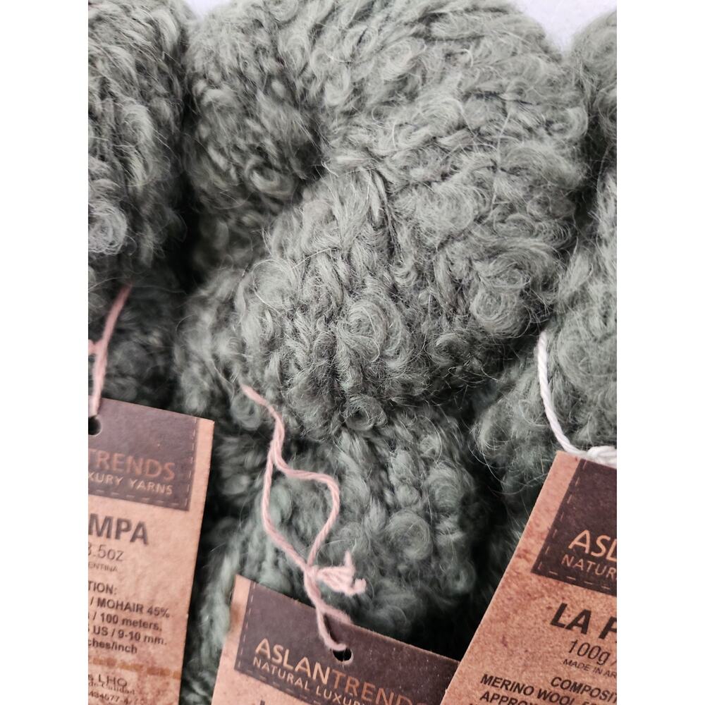 Aslan Trends La Pampa Yarn Lot Of 5 Merino Mohair Boucle Green Argentina Sealed - Picture 3 of 6